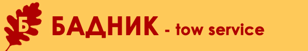 logo Badnik